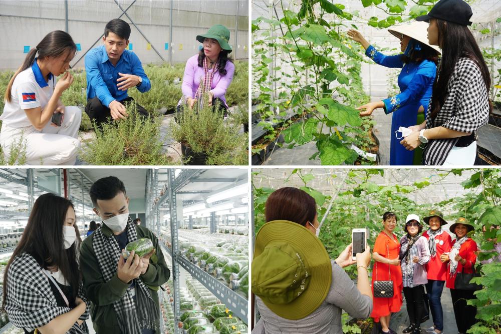 Thành phố Hồ Chí Minh kiến tạo hệ sinh thái đổi mới nông nghiệp Thành phố Hồ Chí Minh kiến tạo hệ sinh thái đổi mới nông nghiệp