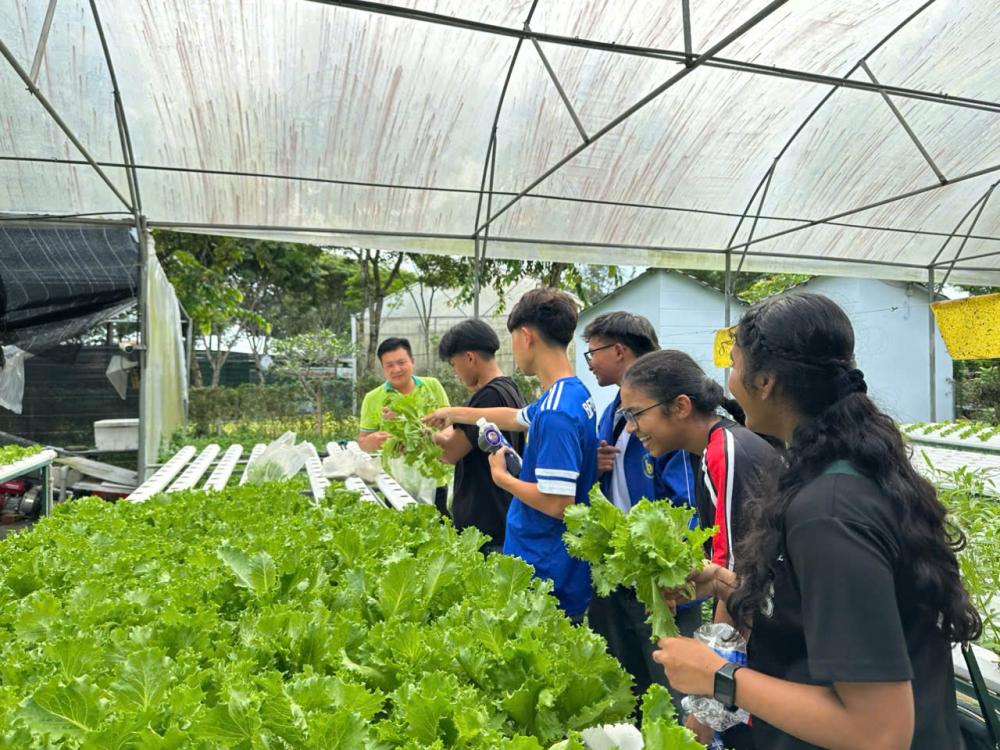 Học sinh Trường Trung học Bendemeer (Singapore) tham quan, học tập trải nghiệm tại Khu Nông nghiệp Công nghệ cao TP. Hồ Chí Minh Học sinh Trường Trung học Bendemeer (Singapore) tham quan, học tập trải nghiệm tại Khu Nông nghiệp Công nghệ cao TP. Hồ Chí Minh