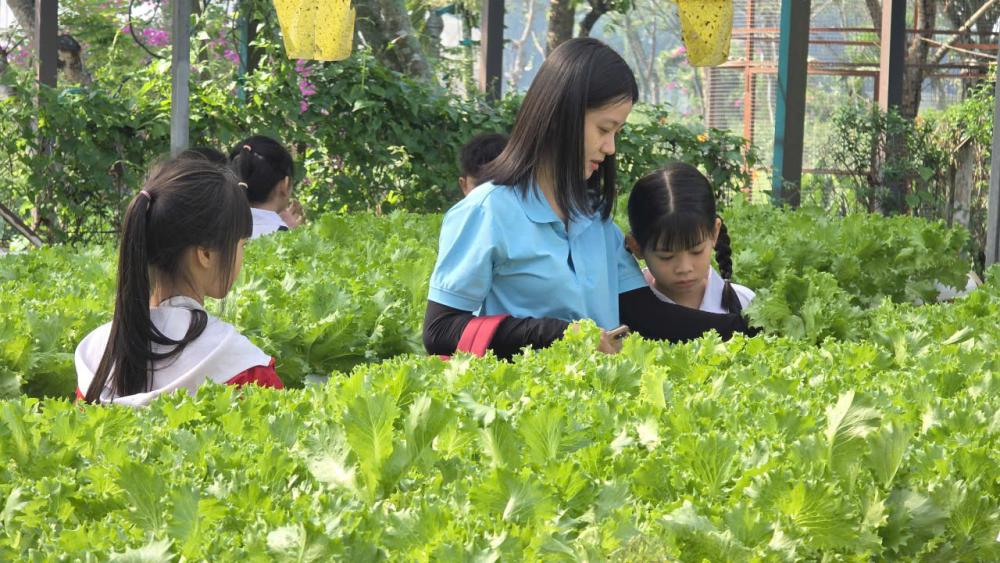 Học sinh Trường Tiểu học Hồ Hảo Hớn tham quan, học tập trải nghiệm tại Khu Nông nghiệp Công nghệ cao TP. Hồ Chí Minh